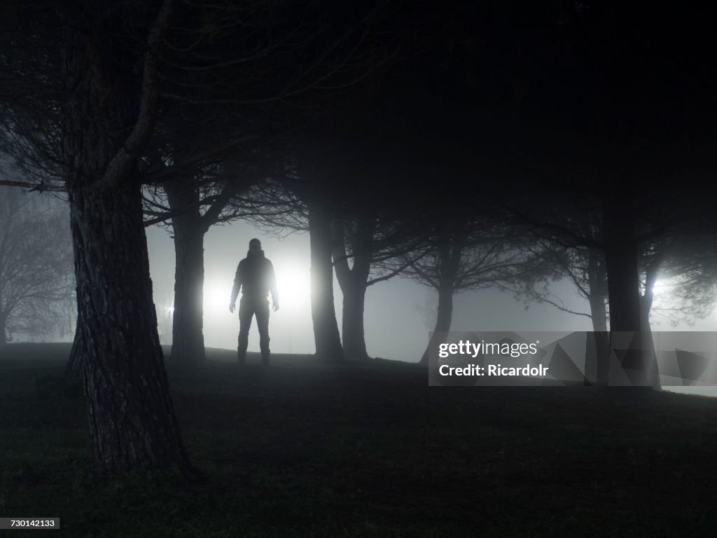 Silhouette of a man standing in park at night