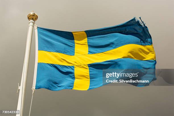swedish flag blowing in the wind - swedish flag stock pictures, royalty-free photos & images