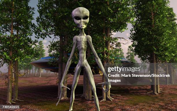 a menacaing grey alien and its spacecraft in a wooded area. - grey aliens stock illustrations