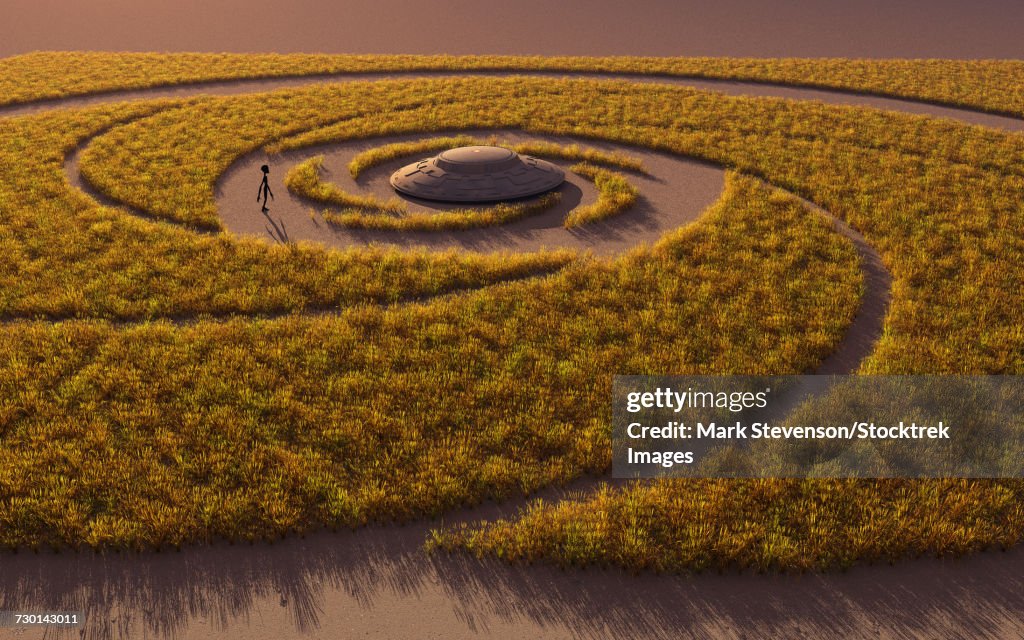 A flying saucer and a grey alien in a crop circle.