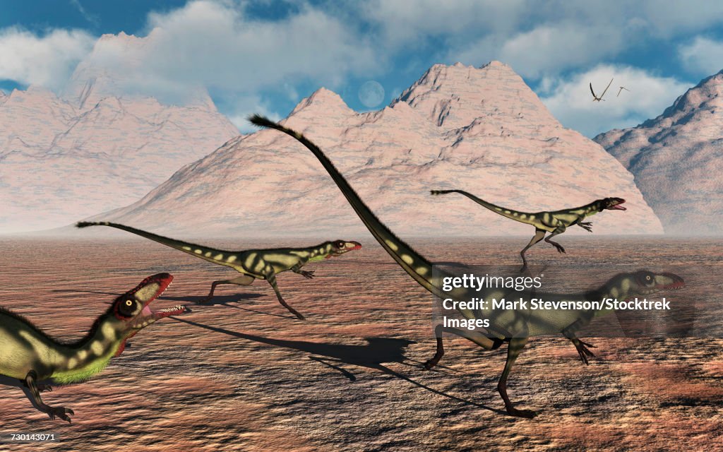 A pack of tyrannosaurid Dilong dinosaurs during Earths Cretaceous period.