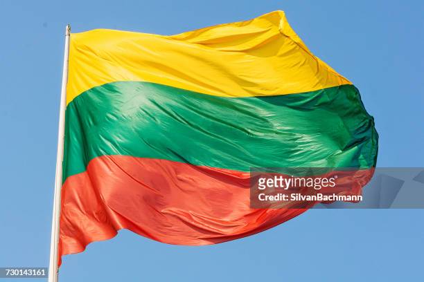 lithuanian flag blowing in the wind - litauen stock-fotos und bilder