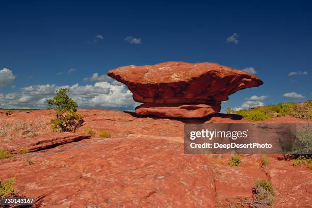 sandstone boulder, canyon de chelly, arizona, america, usa - canyon de chelly national monument stock pictures, royalty-free photos & images