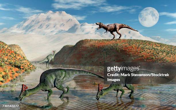 olorotitan duckbilled dinosaurs being stalked by t-rex. - ornithopod stock illustrations