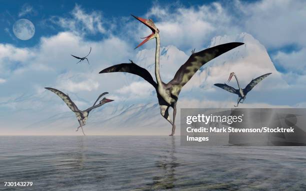a gathering of large quetzalcoatlus pterosaurs. - quetzalcoatlus stock-grafiken, -clipart, -cartoons und -symbole
