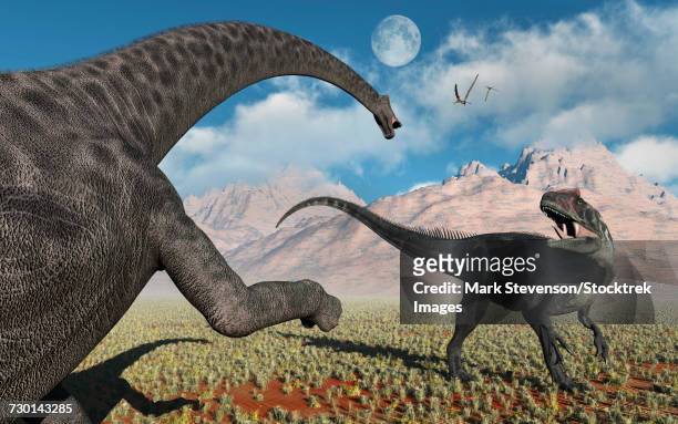 a large diplodocus dinosaur confronting a, allosaurus. - allosaurus stock-grafiken, -clipart, -cartoons und -symbole