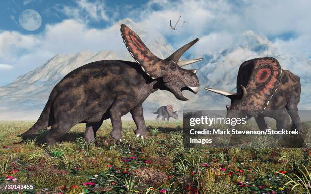 A Small Herd Of Torosaurus Dinosaurs During Earths Cretaceous Period, Foto de stock
