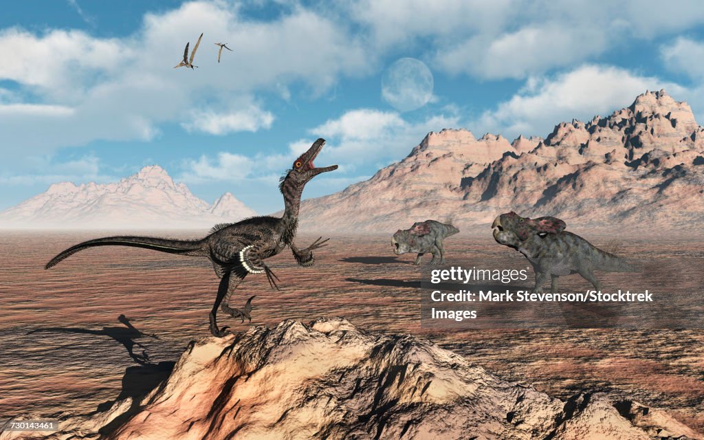 A predatory Velociraptor stalking a pair of Protoceratops.
