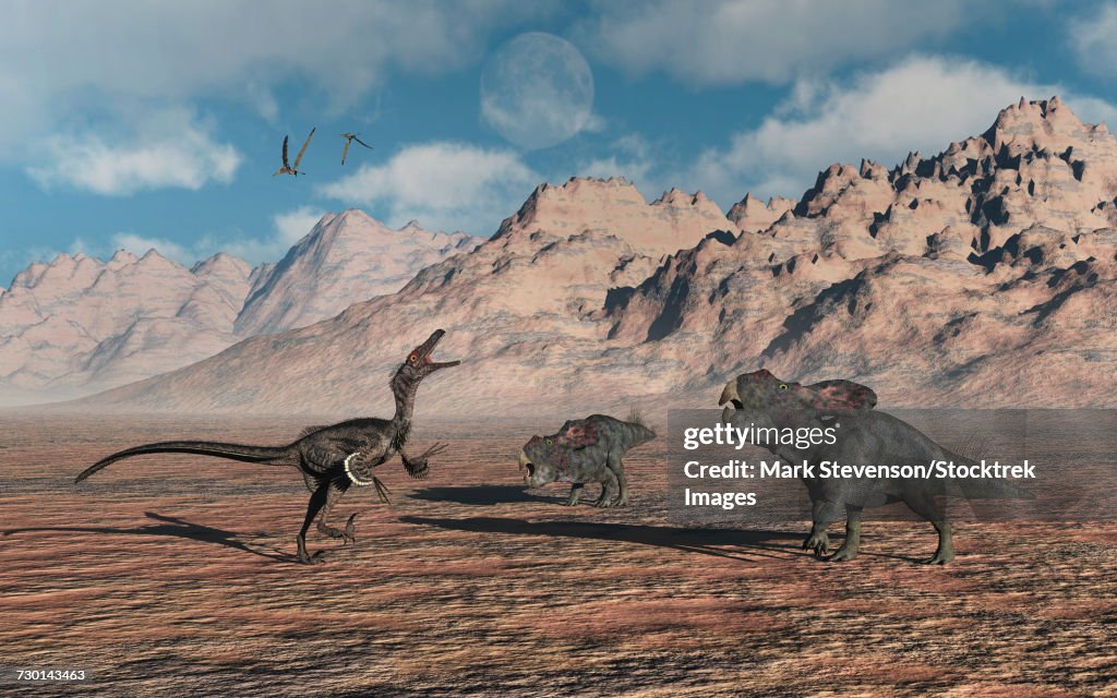 A predatory Velociraptor stalking a pair of Protoceratops.