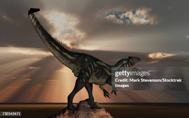 a carnivorous allosaurus dinosaur from earths jurassic period. - allosaurus stock illustrations