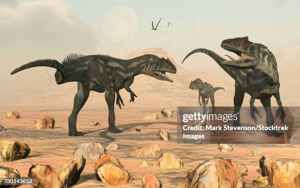 a small pack of allosaurus dinosaurs. - stalker stock illustrations