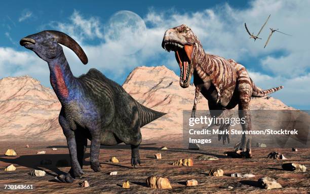 a carnivorous t-rex chasing a lone parasaurolophus dinosaur. - tyrannosaurus rex stock-grafiken, -clipart, -cartoons und -symbole