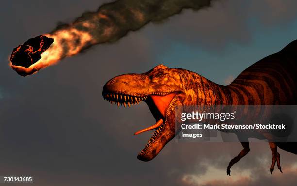 a vicious t-rex dinosaurs observing a falling asteroid. - judgment day apocalypse stock illustrations