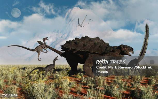 velociraptors attacking an armored pinacosaurus dinosaur. - scute stock illustrations