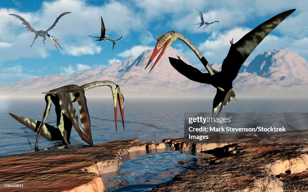 A flock of Quetzalcoatlus during Earths Cretaceous period of time.