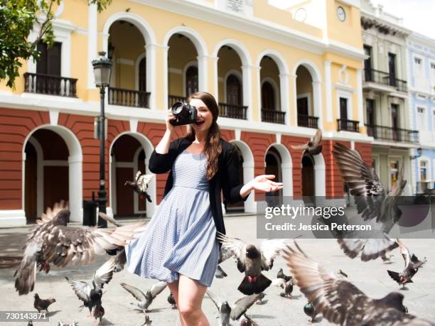 puerto rico, san juan, woman on square among pigeons - san juan puerto rico stock-fotos und bilder