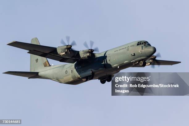 a royal australian air force c-130j hercules. - australian military bildbanksfoton och bilder