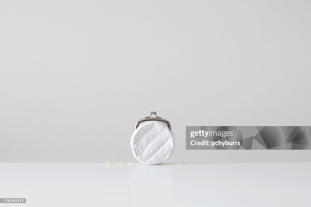 Conceptual cheese purse