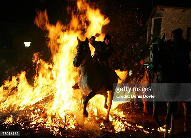 Man rides his horse through flames during the Feast of San Anton, the patron saint of animals in Spain, on January 16, 2007 in the village of San...
