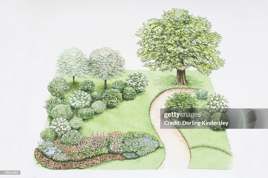 Path winding its way through landscaped garden, plants including Quercus alba or White Oak, Cornus sp. or Dogwood, bushy tree growing pink flowers, Viburnum trilobum or American Highbush Cranberry, shrub growing round white flowers.