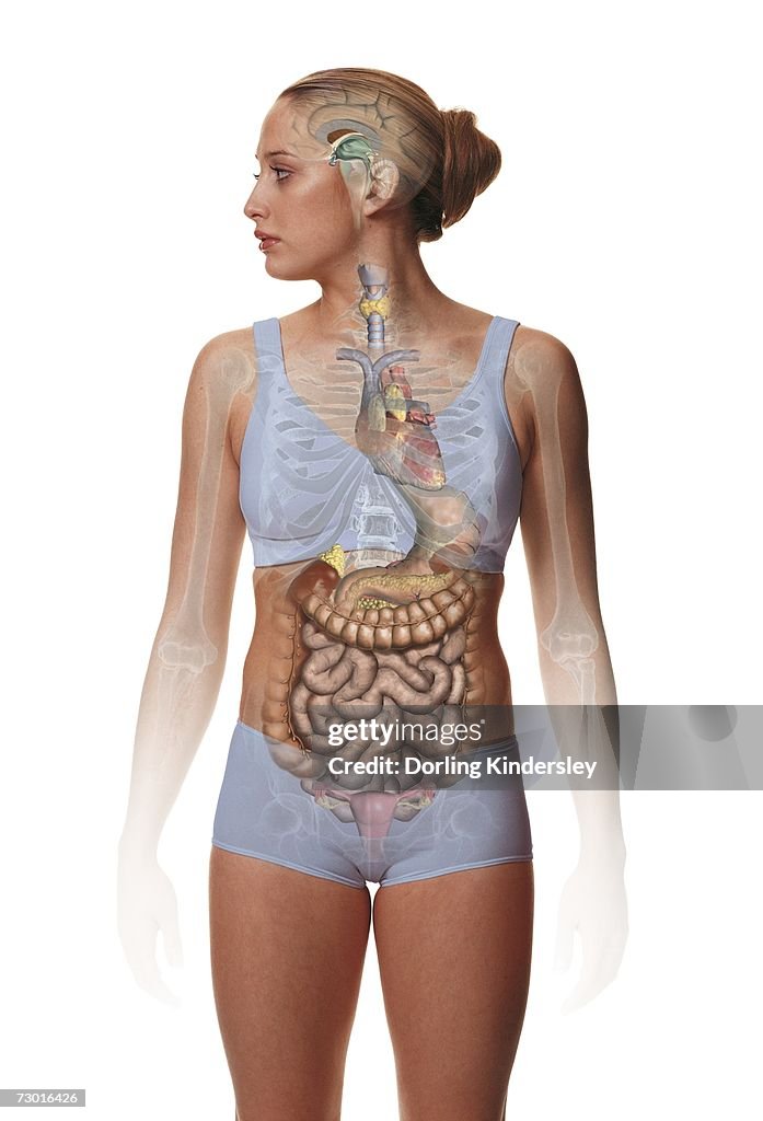 Woman standing, body facing forward head turned to one side, illustration overlay showing skeleton and inner organs.