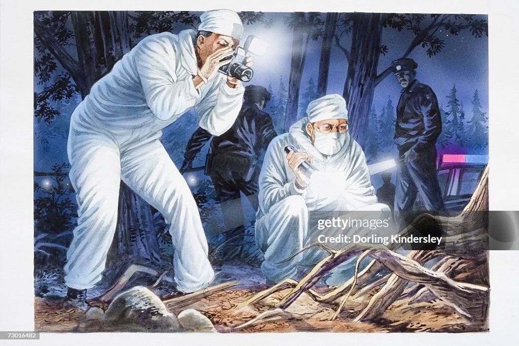Illustration, two forensic officers in white boiler suits holding torch and taking photographs in forest location at night, police car and officers in background.
