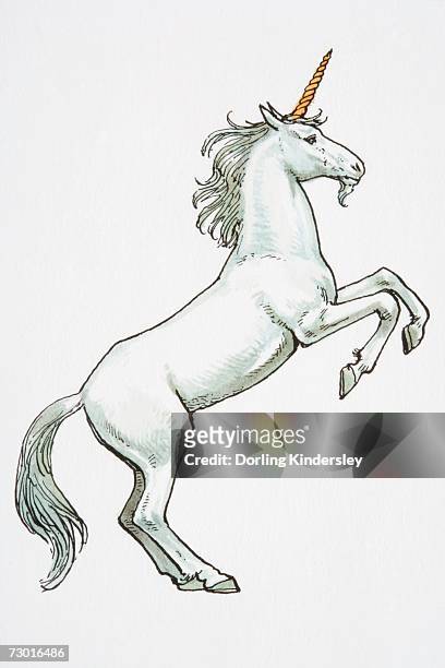 illustrations, cliparts, dessins animés et icônes de illustration, unicorn standing on hind legs. - jambe animale