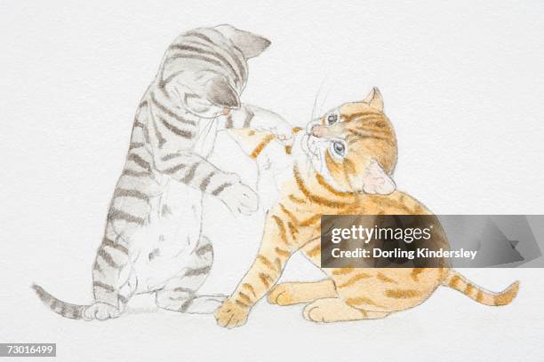 illustration, two tabby kittens playing. - tabby stock illustrations