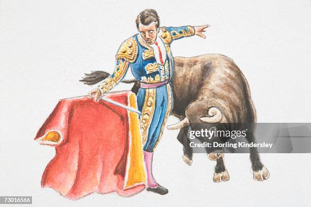 torero in embroidered blue costume holding red cape (muleta), bull advancing immediately to right. - bull fighting stock illustrations