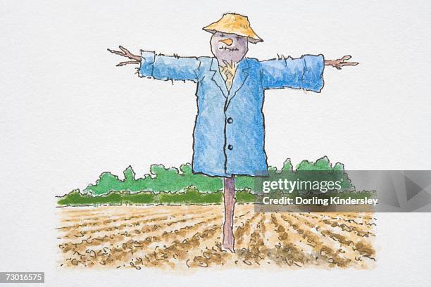 stockillustraties, clipart, cartoons en iconen met scarecrow in blue coat and yellow hat standing in a field. - scarecrow faces