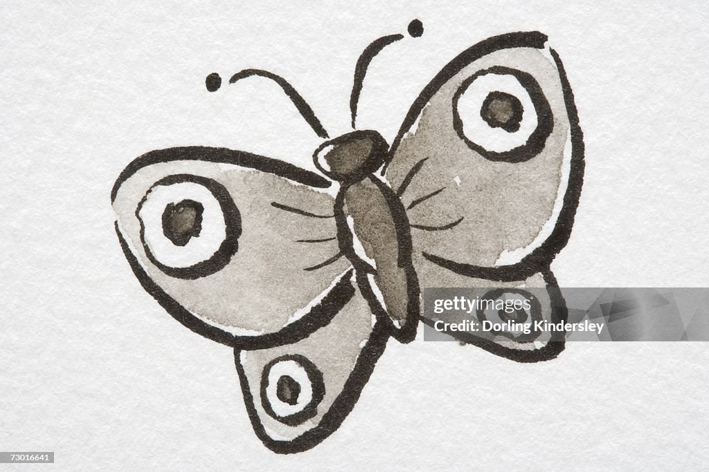 Illustration, Butterfly with eyespots on wings.