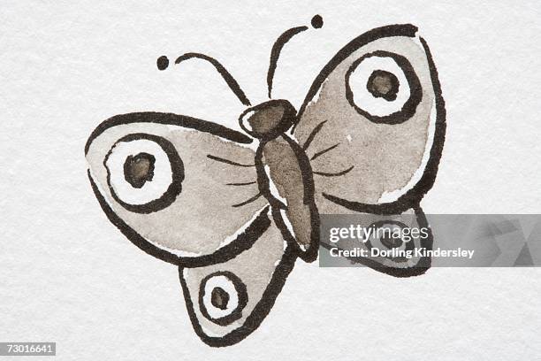 illustration, butterfly with eyespots on wings. - ocellus stock illustrations