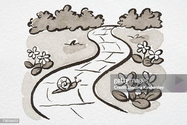 illustration, snail crossing winding garden path, side view. - glider stock illustrations