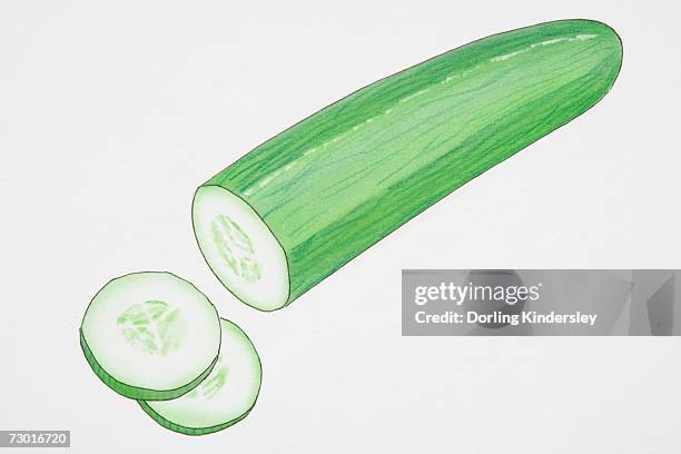 illustration, cucumber with two slices cut off. - cucumber slices white background stock illustrations