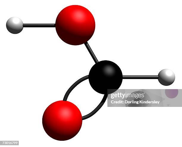 Formico 82 Formic Acid Stock Photos, High-Res Pictures, and Images - Getty Images