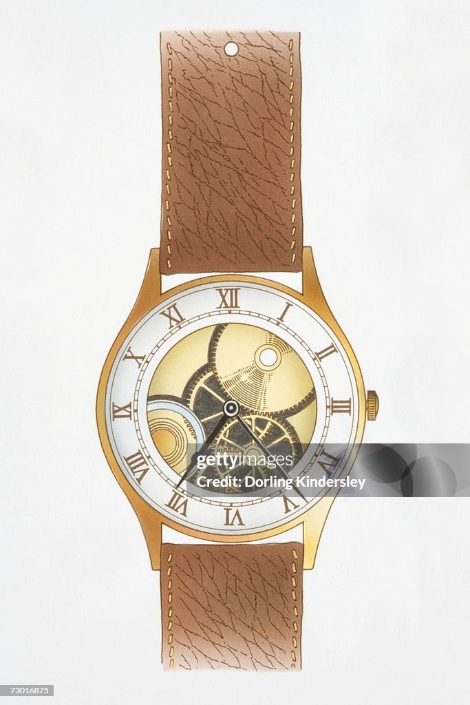 Illustration, mechanical wristwatch with roman numerals, brown leather strap, internal gold wheels and springs visible.