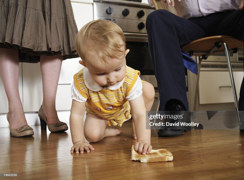 Girl (9-12 months) crawling on floor in kitchen with parents, low section