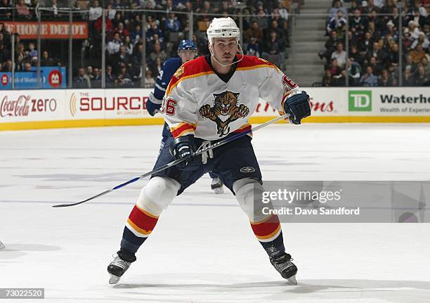 Mike Van Ryn of the Florida Panthers skates against the Toronto Maple Leafs during their NHL game at the Air Canada Centre on December 19, 2006 in...