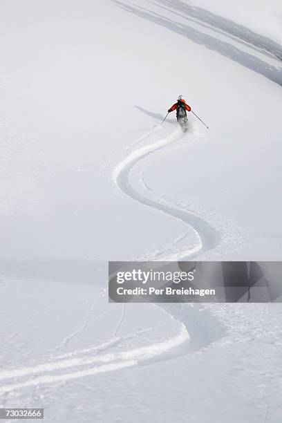 skier skiing, rear view, wasatch mountains, utah, usa, elevated view - marca de esqui - fotografias e filmes do acervo