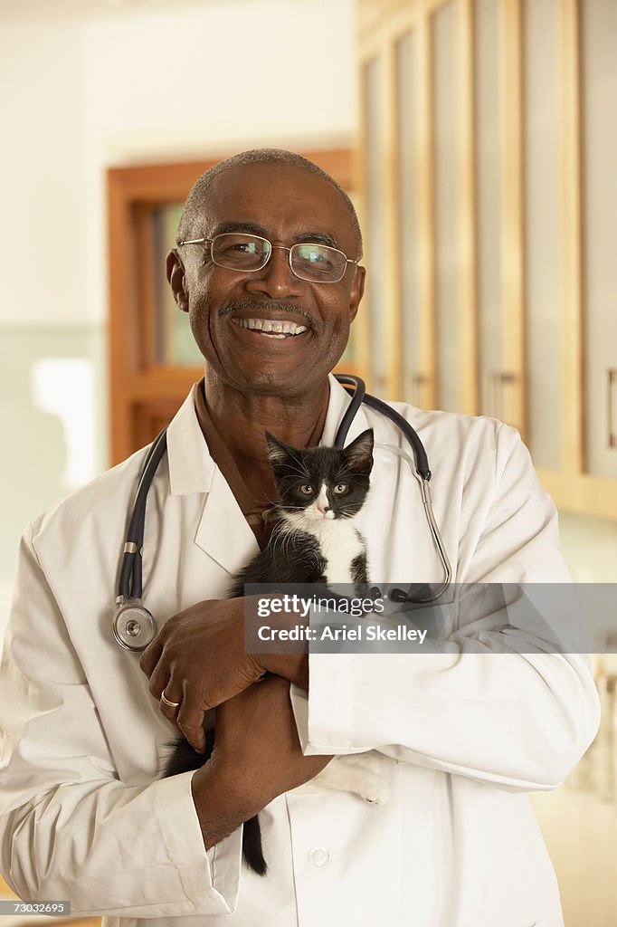 Male veterinarian with kitten, portrait