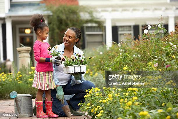 girl (6-7) with grandmother planting flowers in garden - african american grandmother stock pictures, royalty-free photos & images