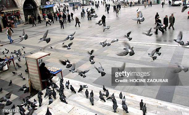 Pigeons fly in front of the New Mosque at Eminonu Square in Istanbul 19 January 2006.The place is always awash with pigeons as stalls sell food for...