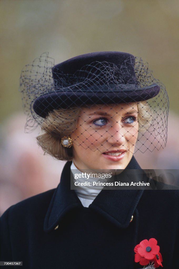 Diana At Armistice Service