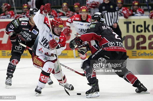 Andreas Morczinietz of Hanover in action with Jason Marshall of Cologne during the DEL Bundesliga game between Cologne Haie and Hanover Scorpions at...