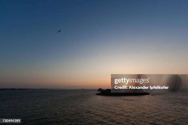 world oceans day - alexander ipfelkofer stock-fotos und bilder