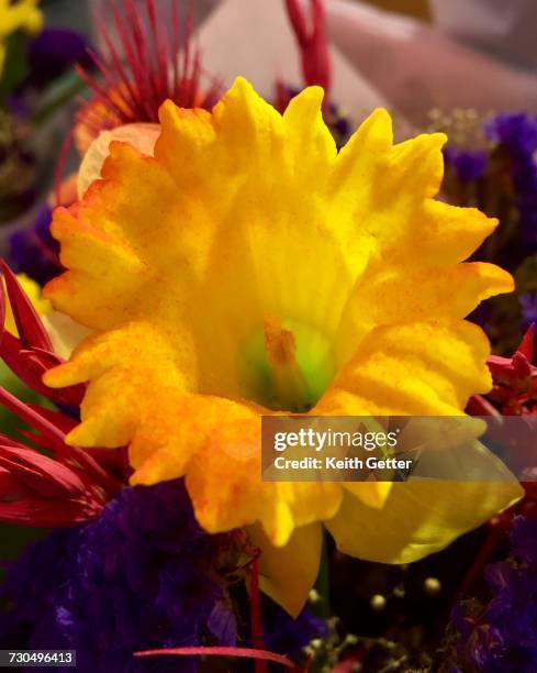 farmer's market - pike place market flowers stock pictures, royalty-free photos & images