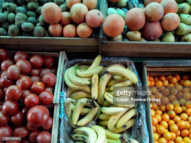 farmer's market - vegetales imagens e fotografias de stock