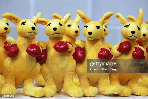 Boxing kangaroos are lined up ready for the medallists during the Australian Youth Olympic Festival at the Sydney Olympic Park Sports Hall January...