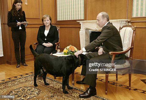 332 Putin Dog Photos and Premium High Res Pictures - Getty Images 332 Putin Dog Photos and Premium High Res Pictures - Getty Images