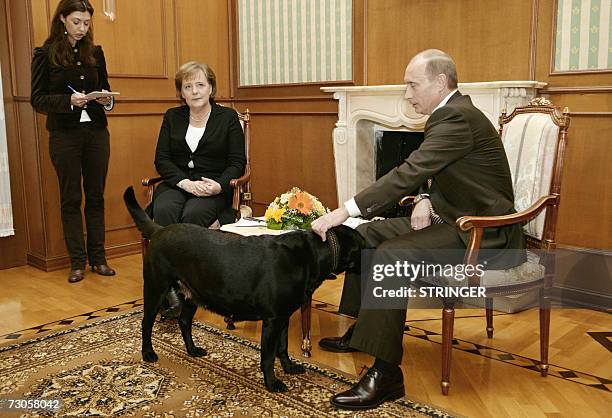 Sochi, RUSSIAN FEDERATION: Russian President Vladimir Putin pets his dog Kuni as Germany?s Federal Chancellor Angela Merkel looks on as they address...